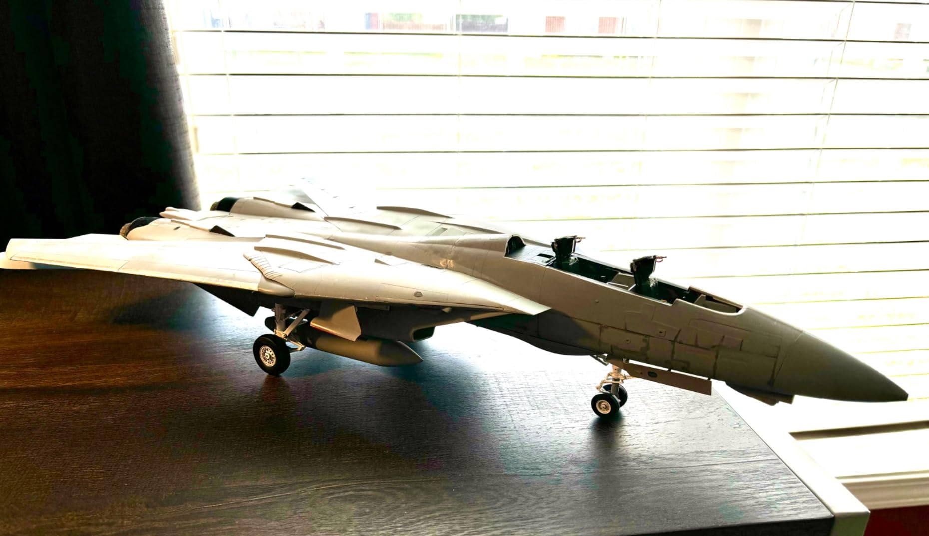 Tamiya F-14A Tomcat Black Knights 1/32 Aircraft Model Kit (TAM60313) customer photo 1