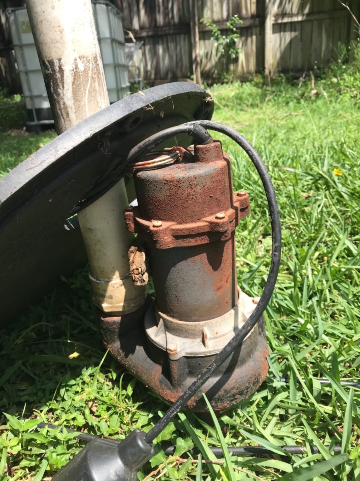 WAYNE RPP50-1/2 HP Cast Iron Sewage Pump with Piggy Back Tether Float Switch - Up to 6,200 Gallons Per Hour customer photo 2