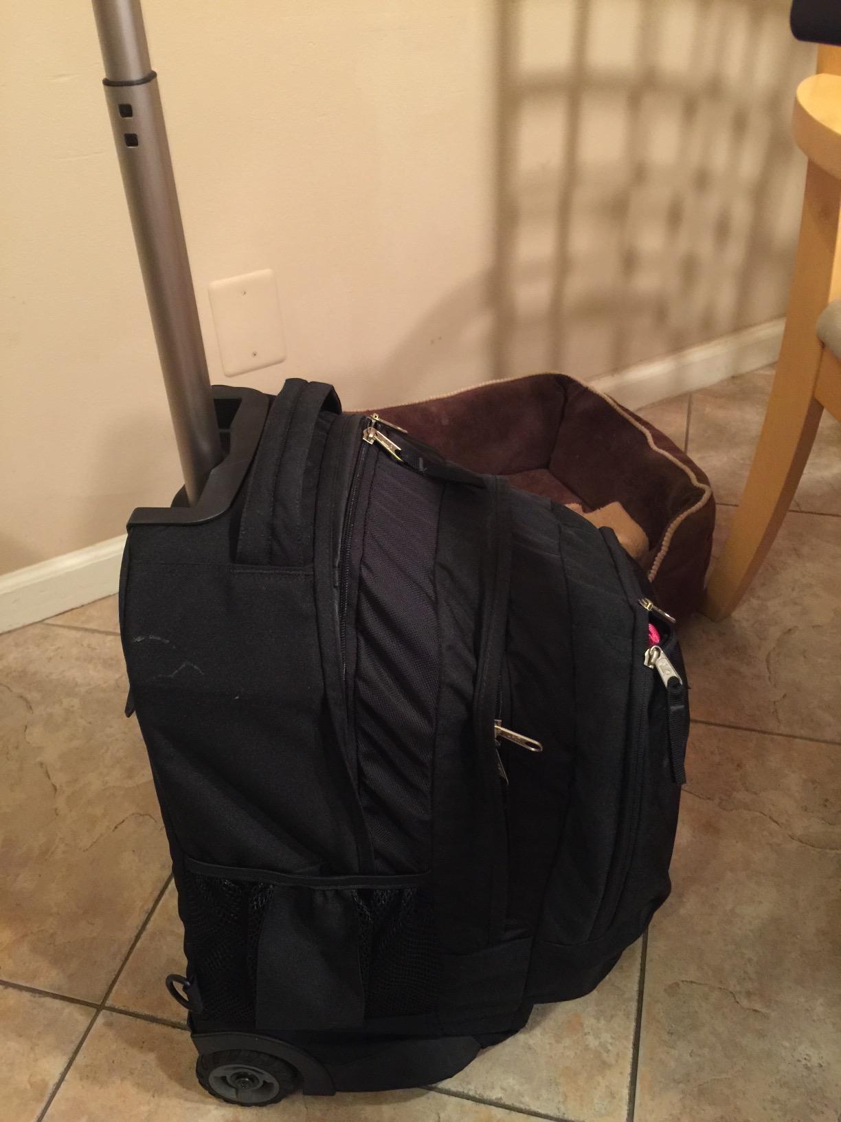 JanSport Driver 8 Rolling Backpack - Wheeled Travel Bag with 15-Inch Laptop Sleeve, One Size, Black customer photo 2