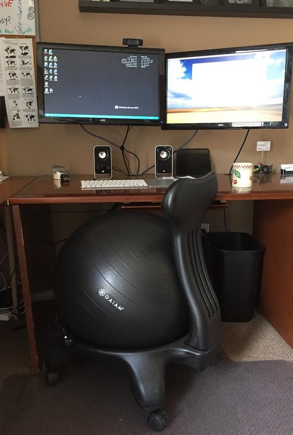 Gaiam Classic Balance Ball Chair, Stability Seat (Black) | 52cm stability ball chair builds core strength while you sit. Includes pump & exercise guide. customer photo 1