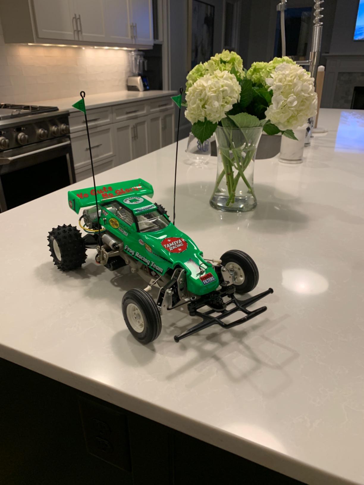 Tamiya 58354 1/10 Rc Frog Kit customer photo 2