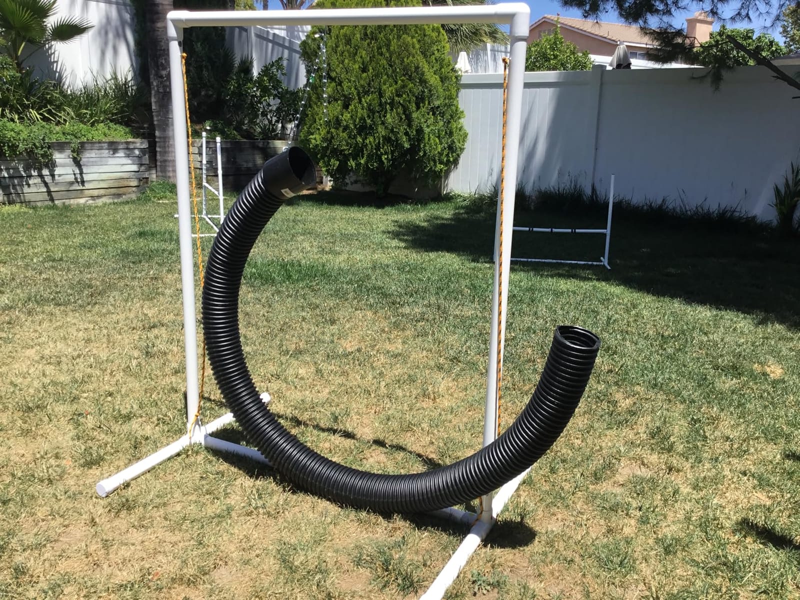 Tire Jump - Dog Agility Equipment customer photo 1