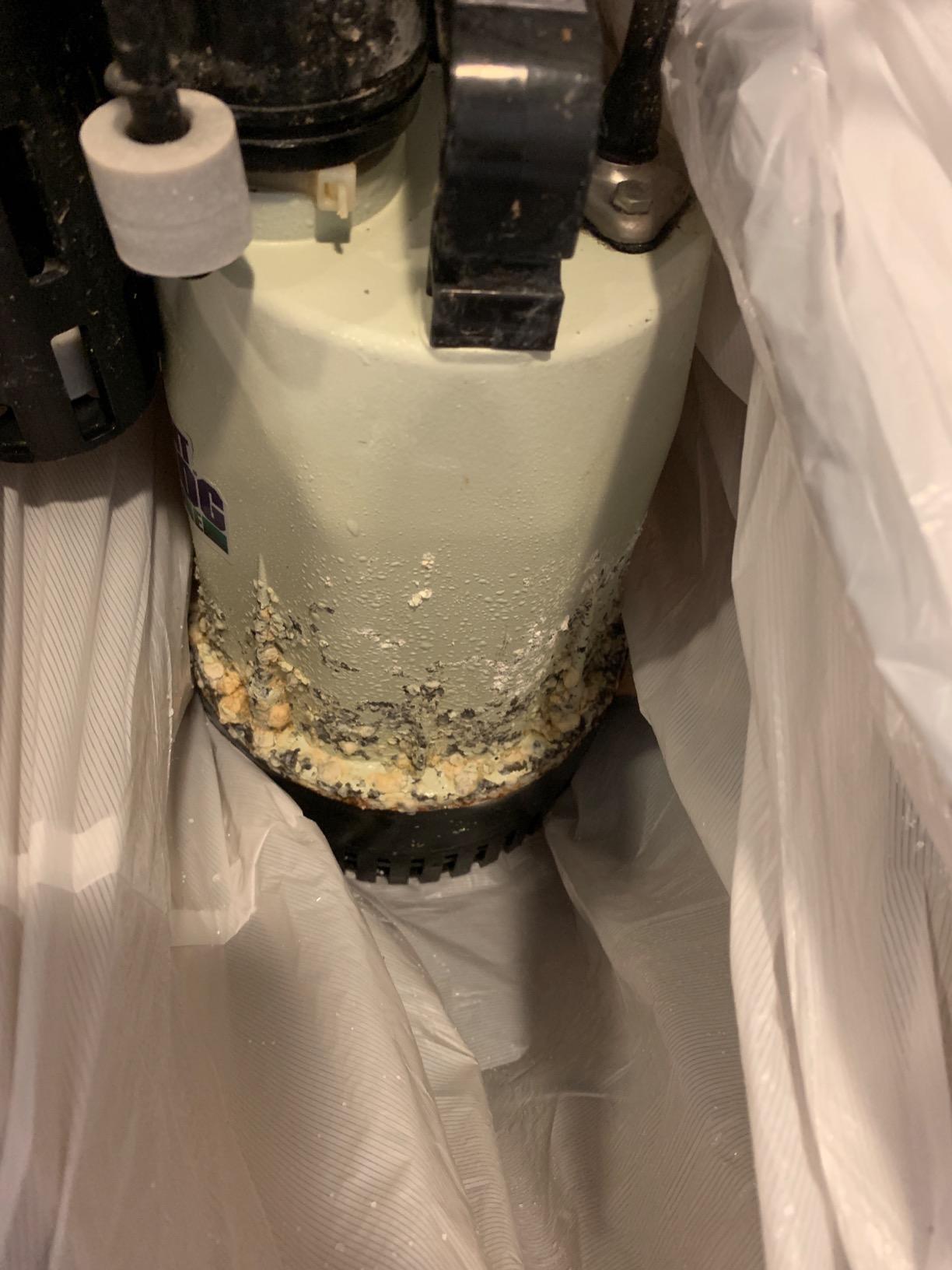 American Fluorescent Bw4000 1730 Gallons Per Hour Basement Watchdog Combination Primary and Back-Up Pump System customer photo 1