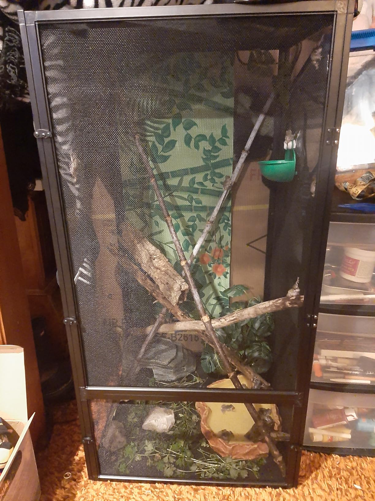 Zoo Med ReptiBreeze Open Air Screen Cage, Small, 16 x 16 x 20-Inches customer photo 1