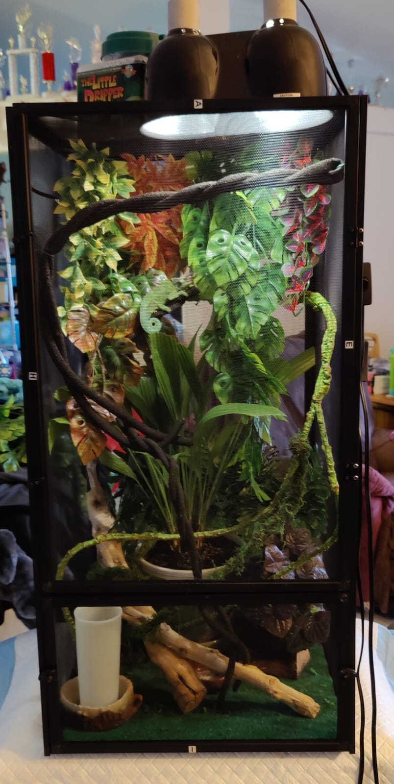 Zoo Med ReptiBreeze Open Air Screen Cage, Small, 16 x 16 x 20-Inches customer photo 2