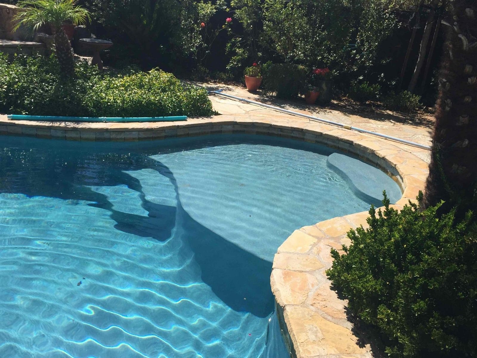 Zodiac G3 Suction-Side Inground Vacuum Pool Cleaner | Suction Cleaner for In-Ground Floors, Walls & Steps; One Moving Part, 36-Fin Disc Grip & 39ft Hose, Connects to Skimmer customer photo 1