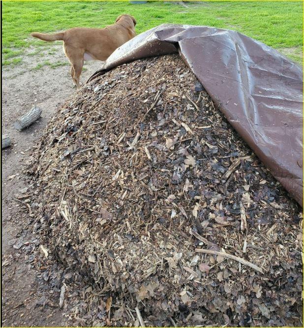 Reotemp 20 Inch Fahrenheit Backyard Compost Thermometer with Digital Composting Guide customer photo 2