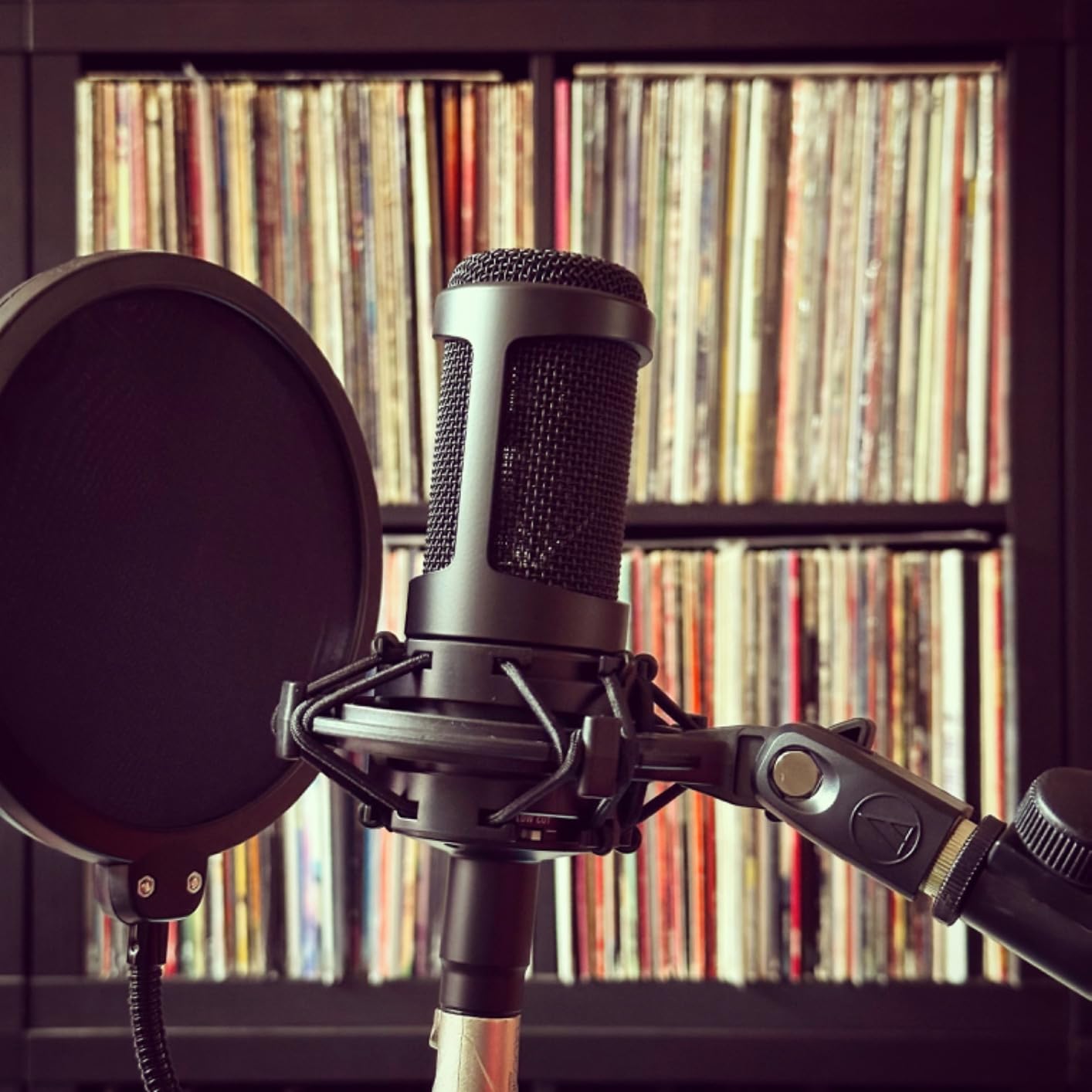 Audio-Technica AT2035 Cardioid Condenser Microphone, Perfect for Studio, Podcasting & Streaming, XLR Output, Includes Custom Shock Mount customer photo 2