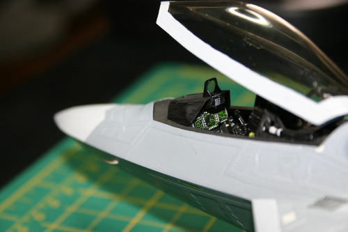 Hasegawa 1/48 F-22 Raptor USAF customer photo 1