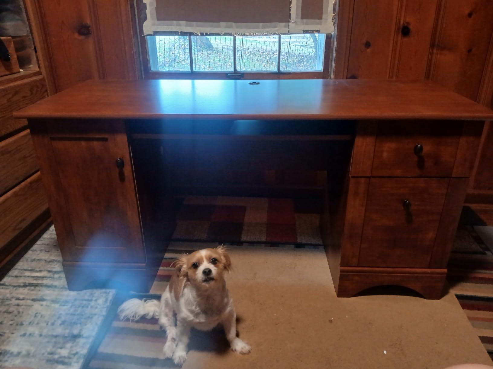 Engineered Wood Computer Desk in Brushed Maple customer photo 1