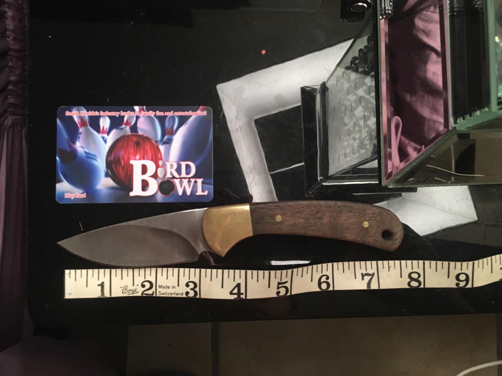 Buck Knives 113 Ranger Skinner Hunting Knife with Sheath, 5.2 oz | 3-1/8