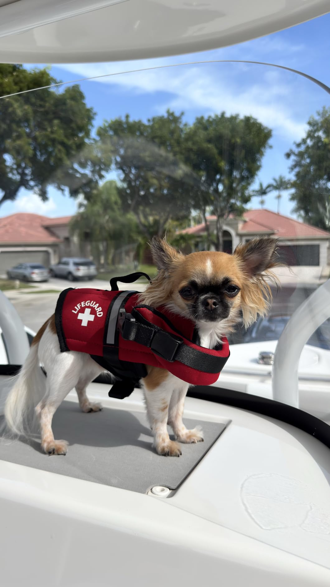 Dog Life Jacket - Premium Swim Vest with SafeChin Anti-Choke Collar | PAWS Aboard Red | RapidLift Rescue Handle, D-Ring, Reflective Trim | Boating, Kayaking, Pool | X-Large (80-110 lbs) customer photo 2