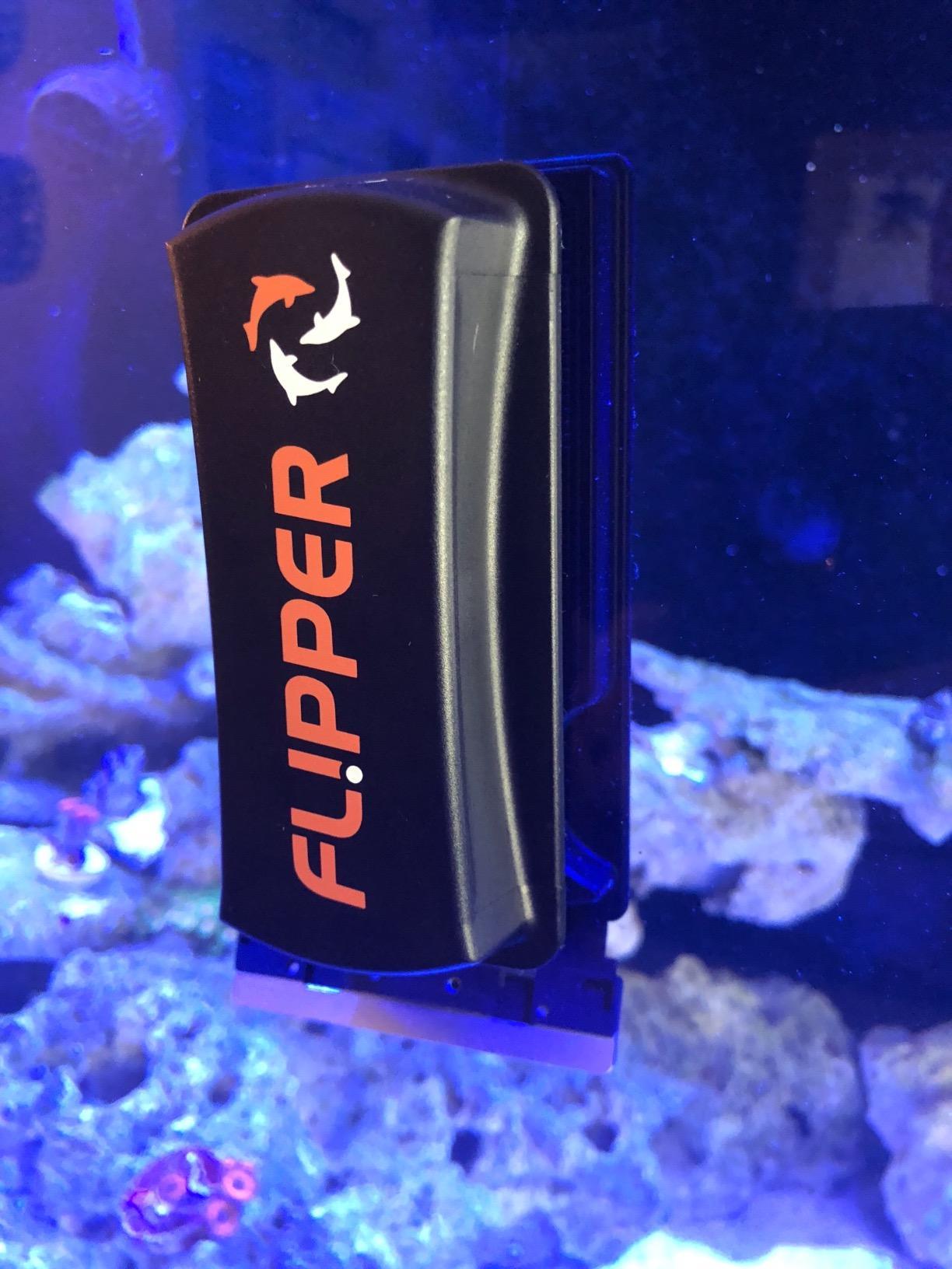 FLIPPER Standard Magnetic Aquarium Glass Cleaner - 2-in-1 Scrubber and Scraper, Hands-Free Fish Tank Cleaner for Algae Removal, Safe for Glass & Acrylic Tanks up to 1/2