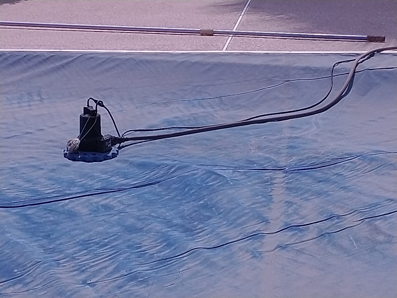 WAYNE WAPC250 Reinforced Thermoplastic Pool Cover Pump customer photo 2