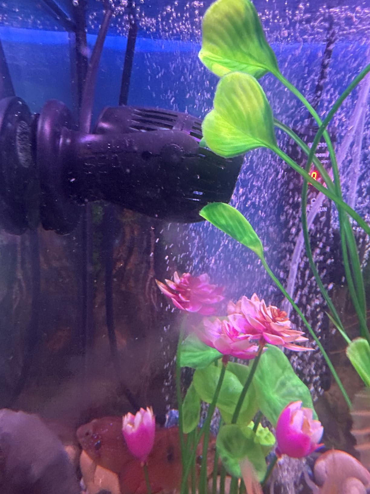 Fluval Sea CP3 Wave Maker Circulation Pump customer photo 1