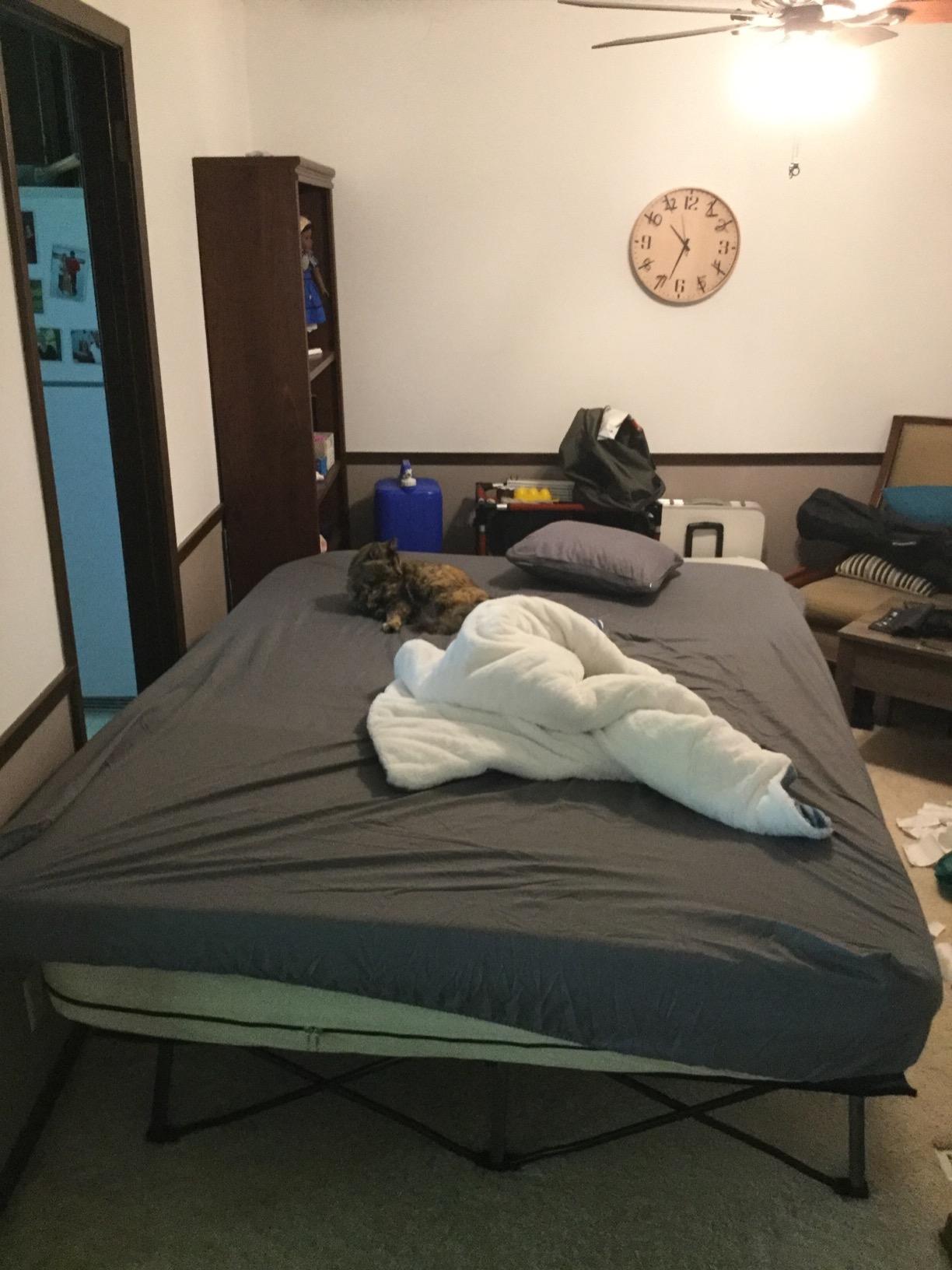 Coleman Queen-Size Airbed Cot Combination, Folding Air Mattress with Steel Frame & Side Table, Battery Pump Included, Great for Camping, Lounging, Elevated Sleeping, Guests, & More customer photo 2
