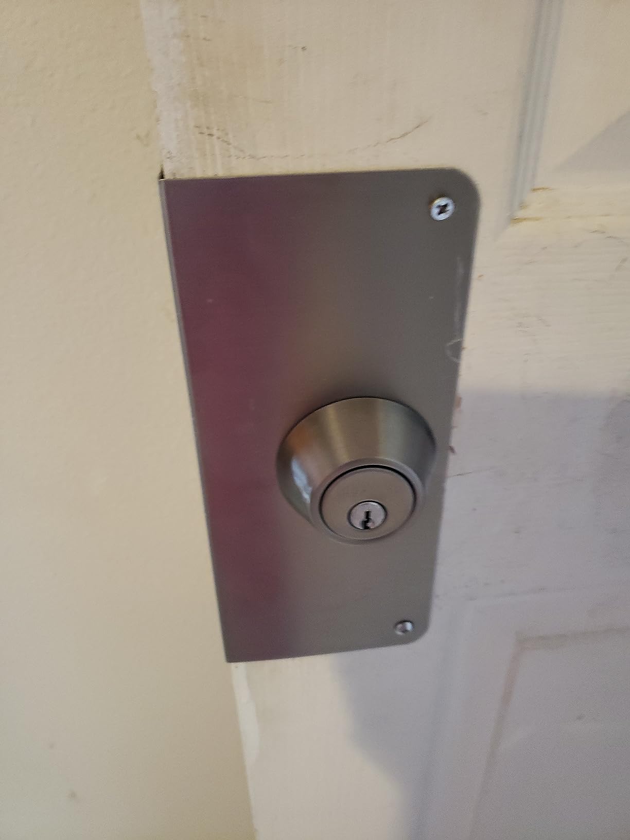 Prime-Line Door Reinforcement Plate, Stainless Steel, for 1-3/8 in. Doors customer photo 1