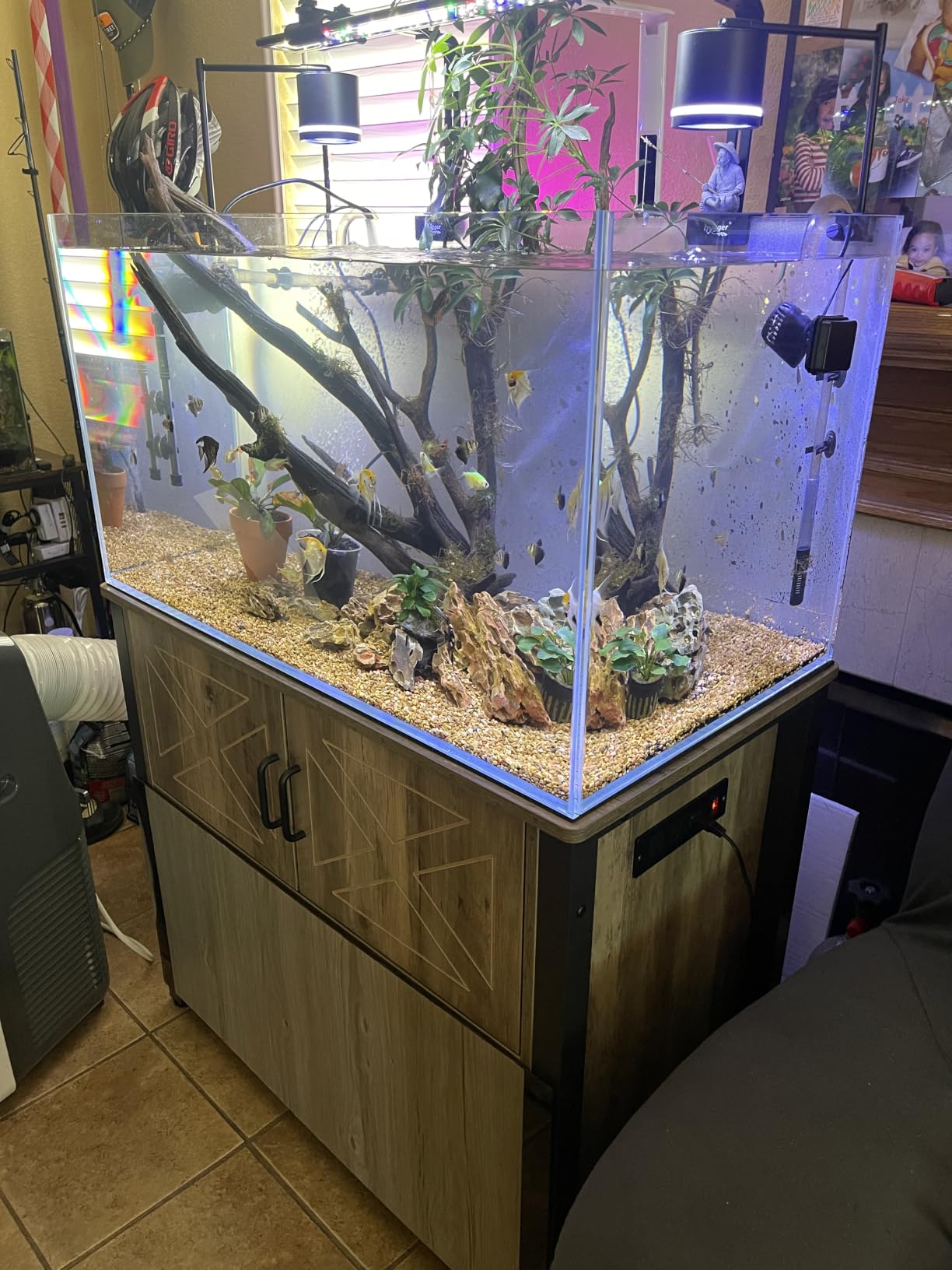 LANDEN Aquarium 60H 30 Gallon Ultra Clear Glass Rimless Fish Tank | 23.6x17.7x17.7in (60x45x45cm), 8mm Low Iron Glass, leveling mat Included, Large Freshwater Plant Tank, Betta Turtle Terrarium customer photo 1