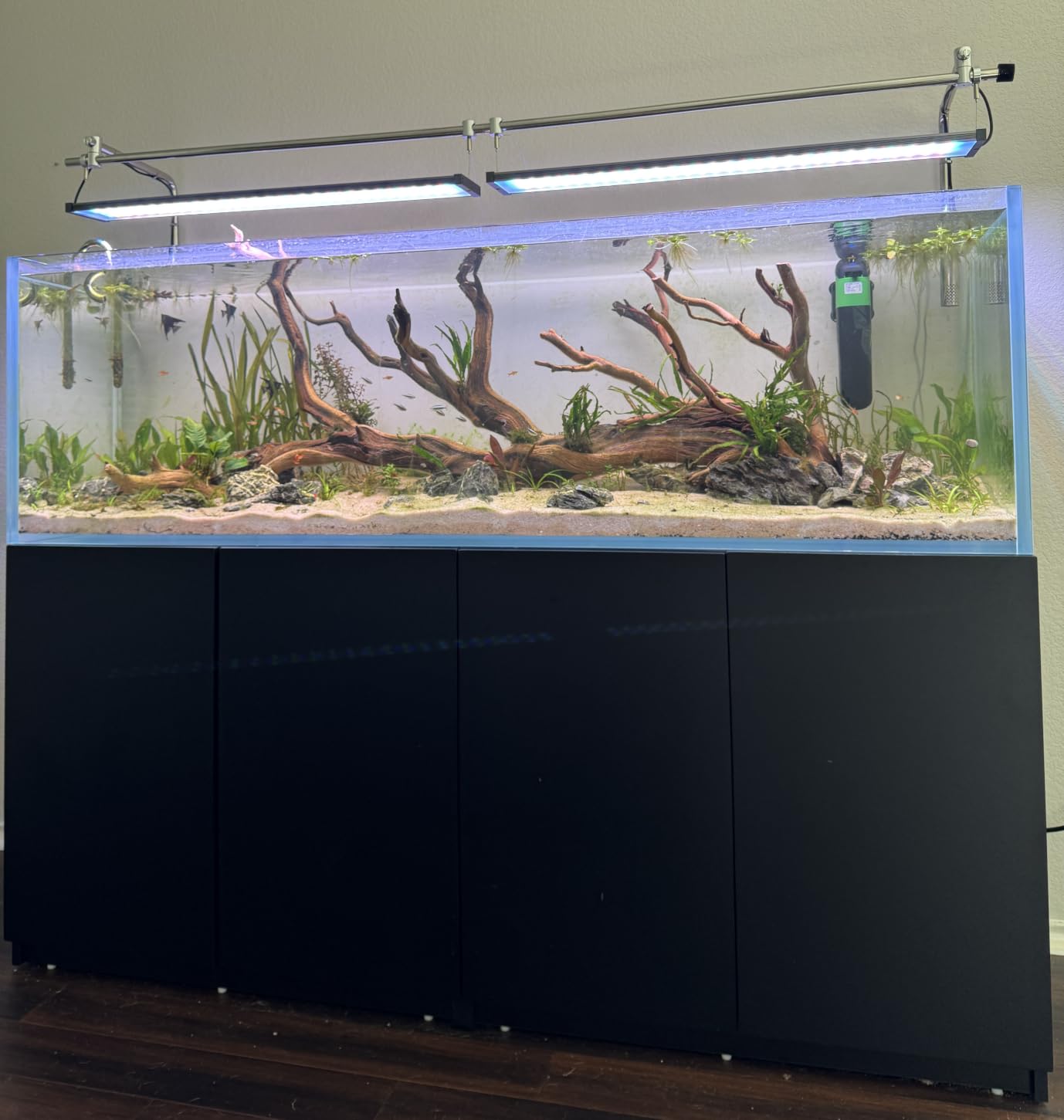 LANDEN Aquarium 60H 30 Gallon Ultra Clear Glass Rimless Fish Tank | 23.6x17.7x17.7in (60x45x45cm), 8mm Low Iron Glass, leveling mat Included, Large Freshwater Plant Tank, Betta Turtle Terrarium customer photo 2