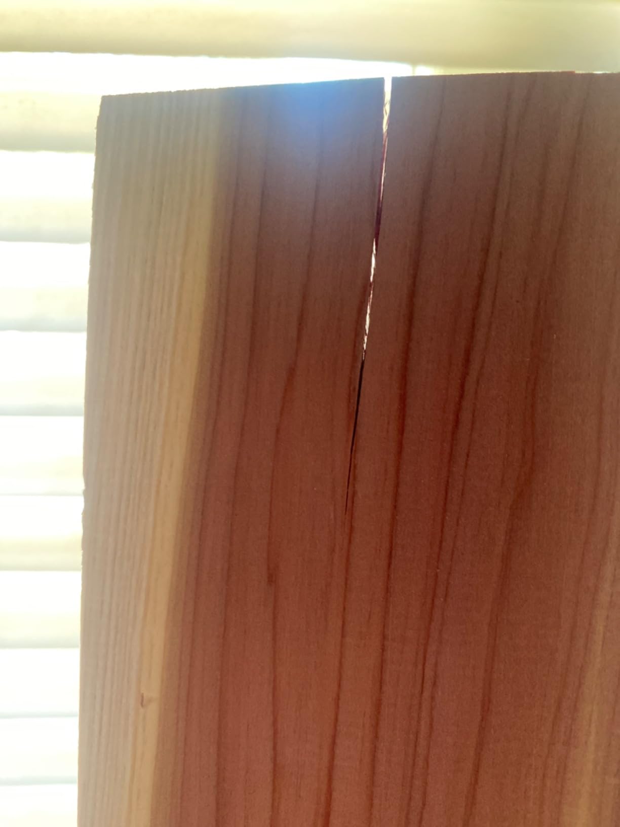 Household Essentials 25012-1 Cedarline Collection Cedar Wood Panels for Closet Storage | 10 Piece Value Pack customer photo 1
