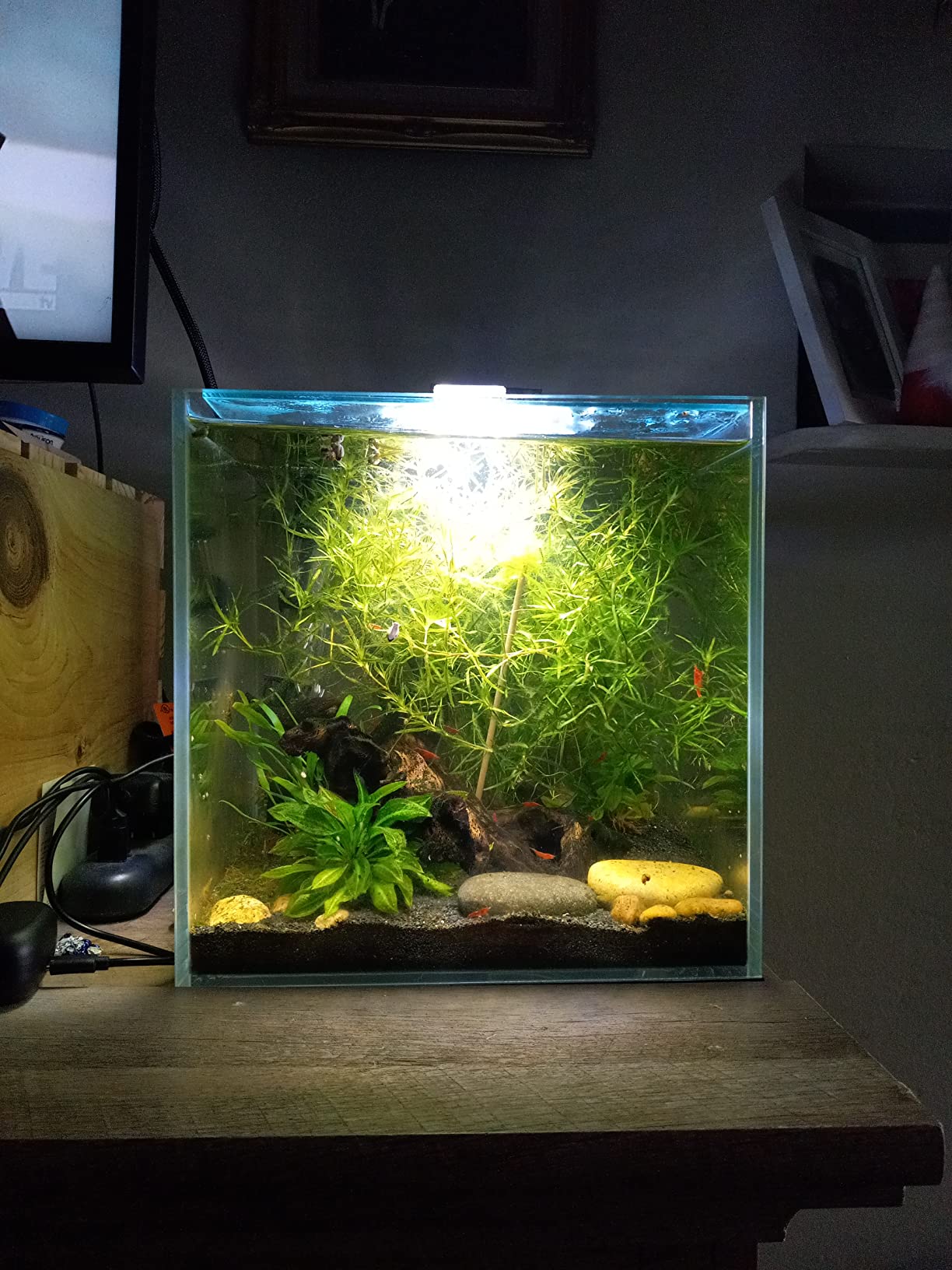 Aquatop High Clarity Low Iron Glass Cube Aquarium, 7.1 Gallon - 5mm Thick Glass - Slim Design - Ideal for Fresh & Saltwater - Desktop Tank with Silicone Sealing customer photo 2