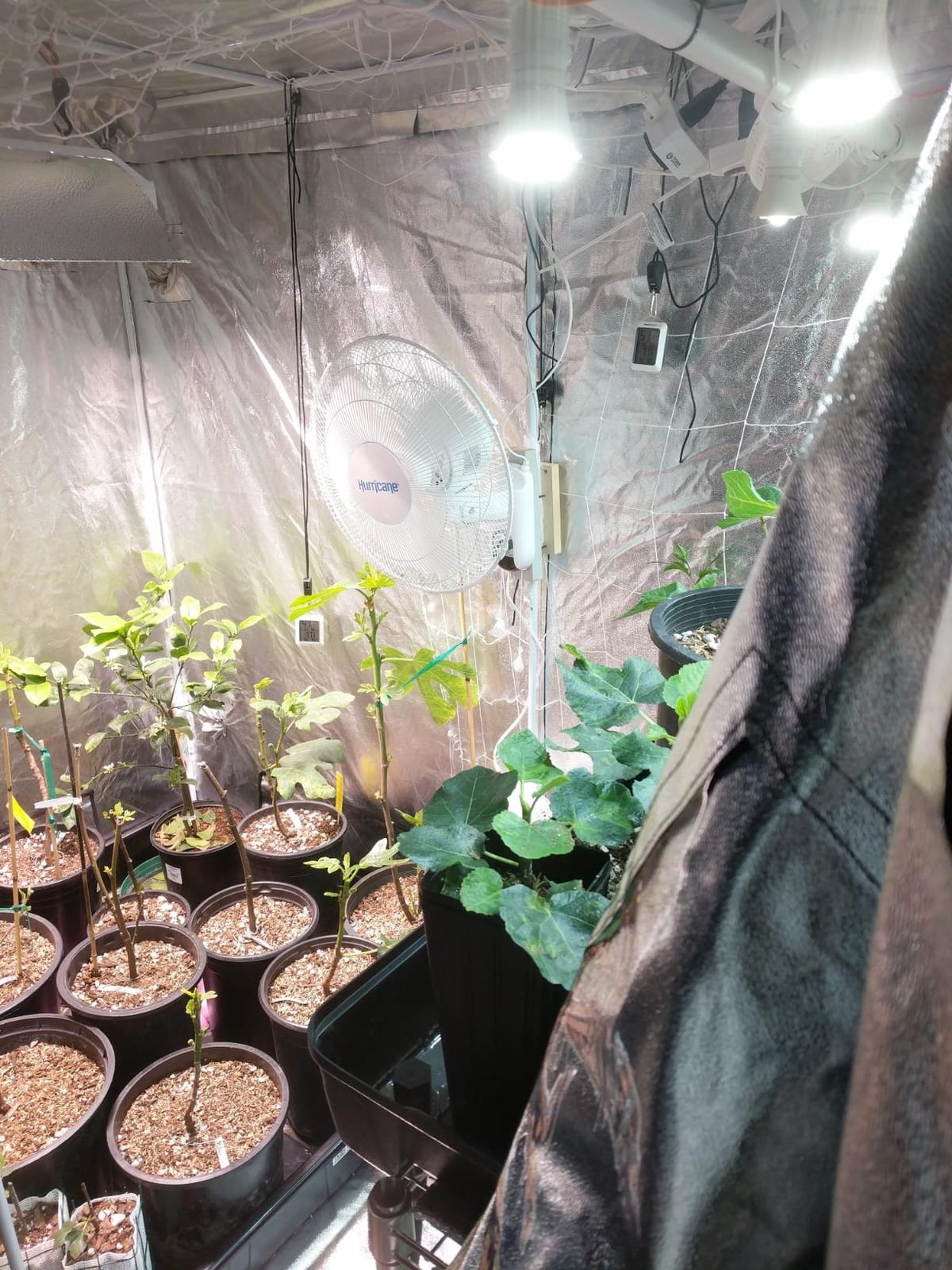 96x48x78 Reflective Indoor Grow Tent 4x8 - Mylar Grow Tent - for Indoor Grow Room - Hydroponics Growing Tent - Grow Tents customer photo 2