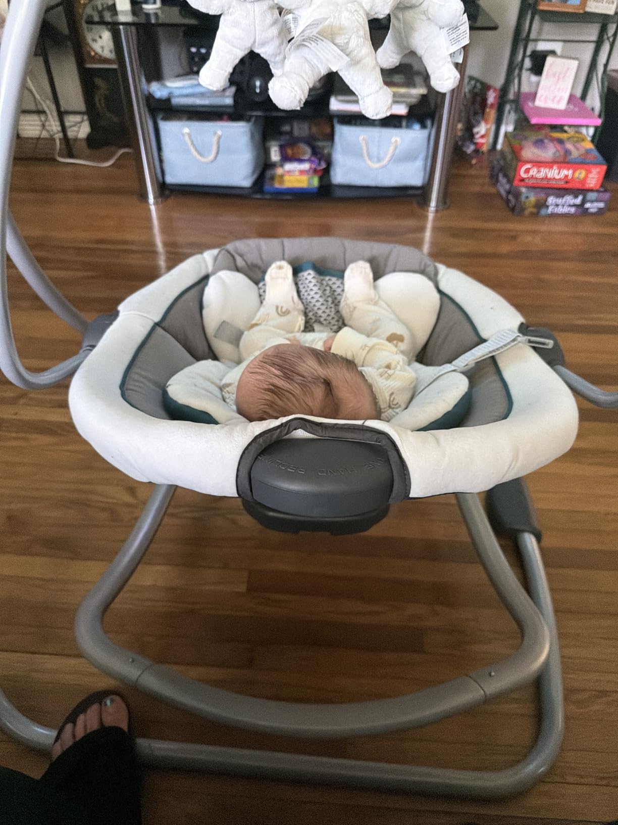 Graco DuetSoothe Swing and Rocker with Removable Swing Seat and 6 Swinging Speeds for Toddler Swing Seat and Swing Chair customer photo 1