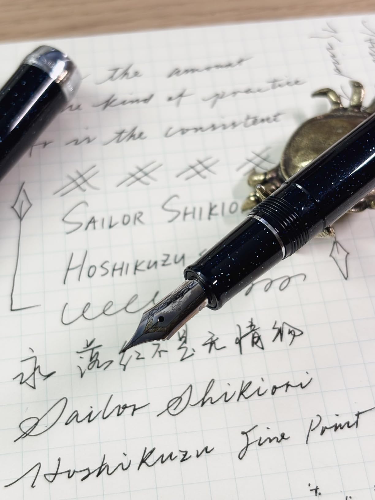 Sailor 11-0500-249 Fountain Pen, Shiki-ori, Hisakata Hoshizu, Fine Point customer photo 1