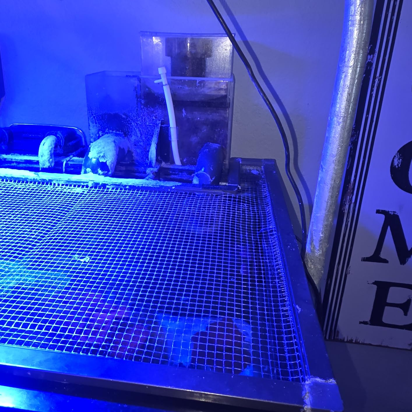 OCTO Classic BH-2000 Protein Skimmer customer photo 2