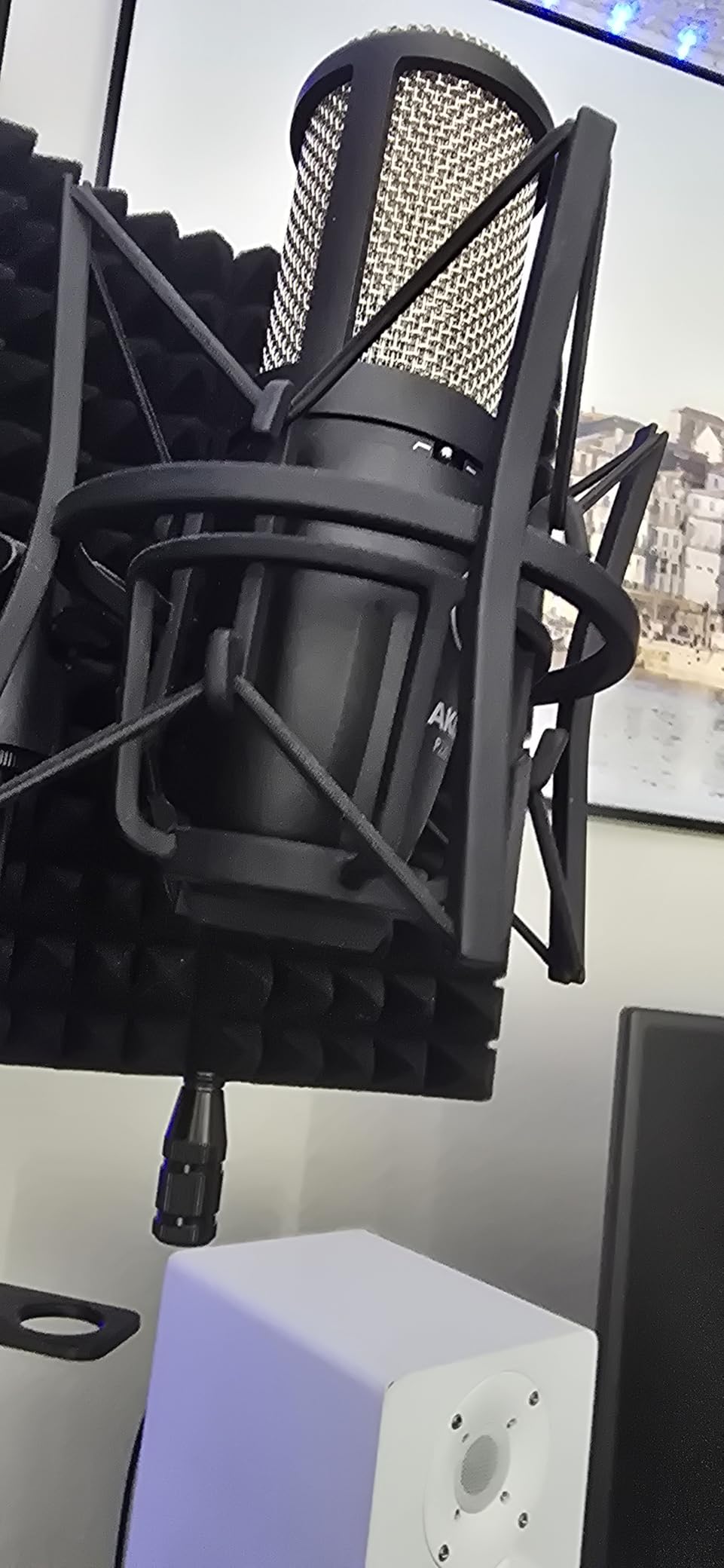 AKG Pro Audio P220 High-Performance Condenser Microphone, Great for Vocals, Guitar, Brass, and General Recording. XLR Wired Mic, for Studio or Stage. Black customer photo 2