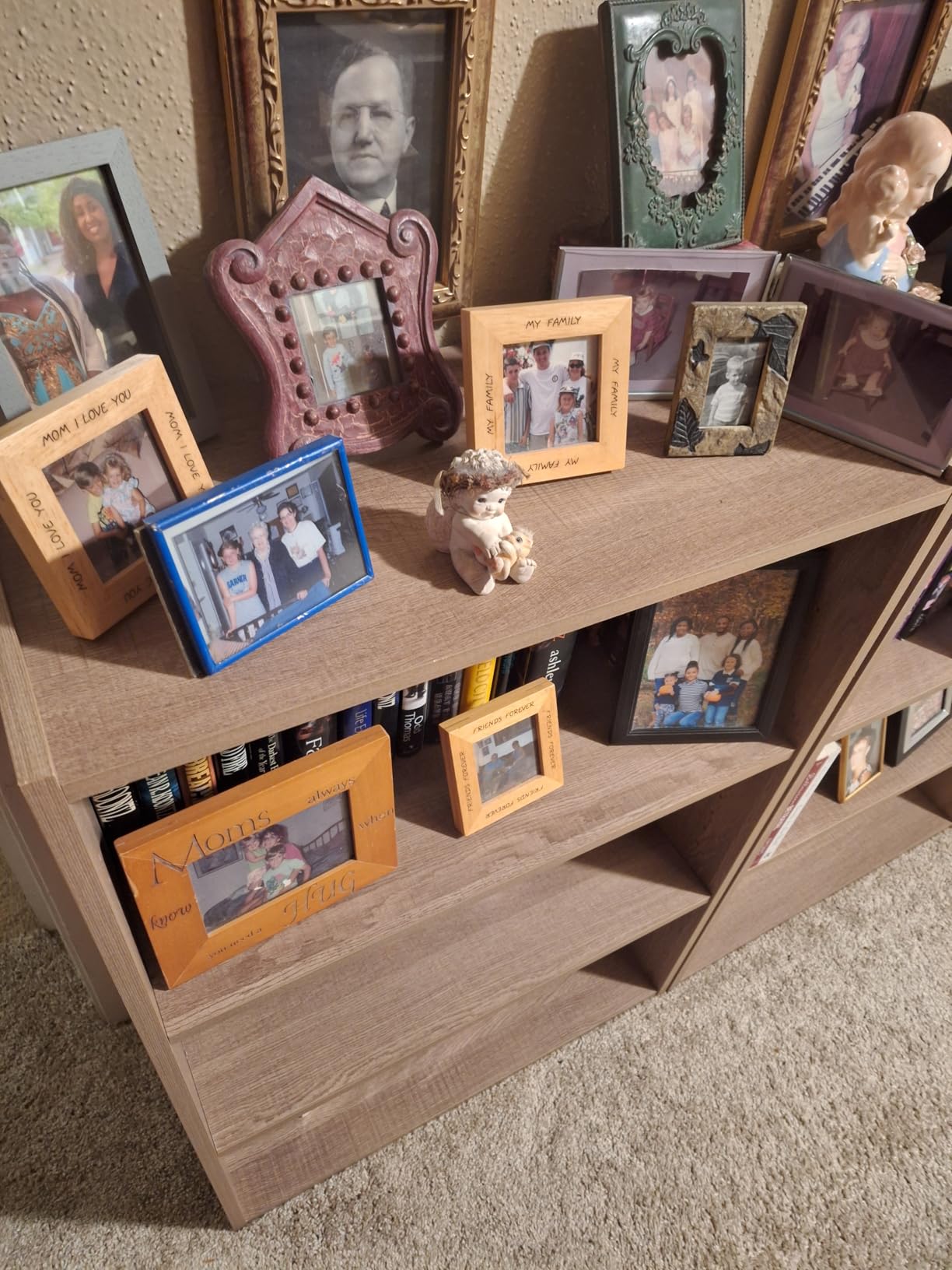 Sauder Beginnings 3-Shelf Bookcase, Bookshelf with Adjustable Storage Shelves, in Brook Cherry finish customer photo 1