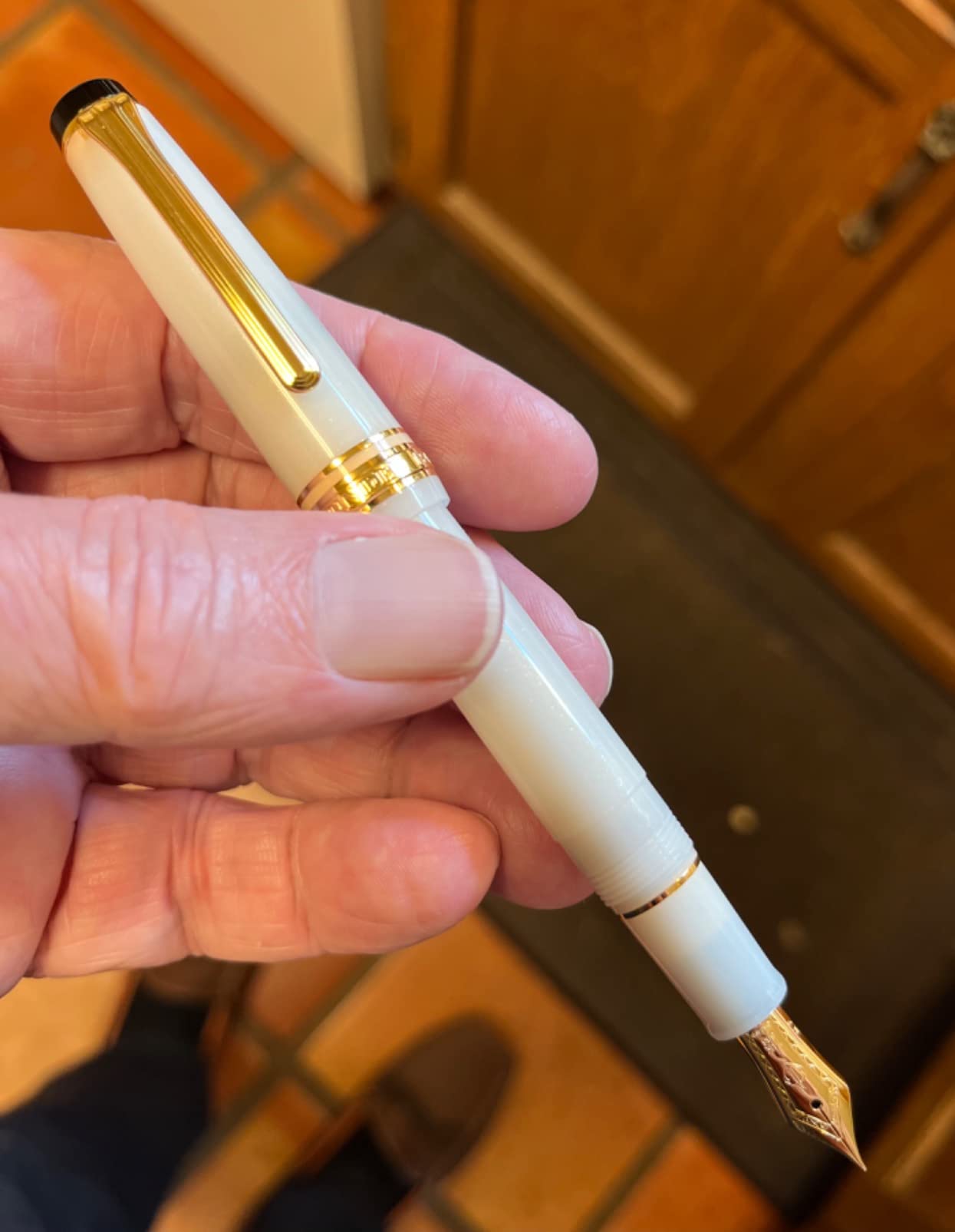 Sailor Fountain Pen, SHIKIORI Soraha Setsugetsu, Meigetsu, Medium Point, 11-1224-303 customer photo 1