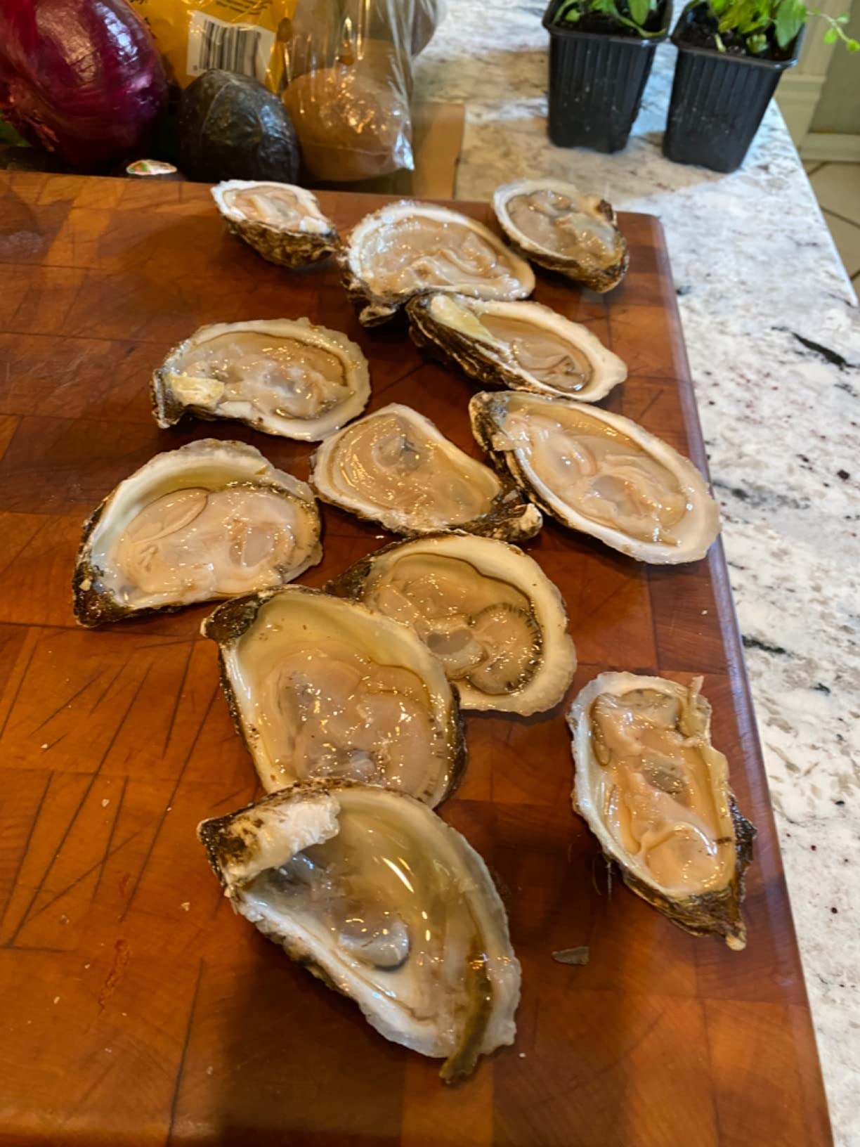 UJ Ramelson Co R. Murphy Duxbury Oyster Knife customer photo 2