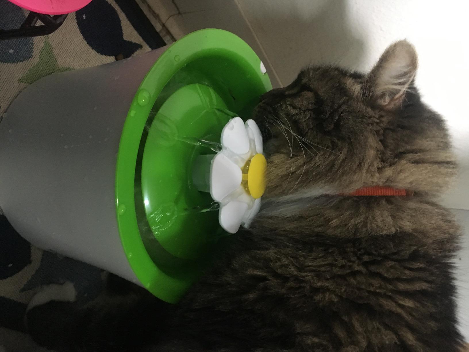 Catit Flower Fountain with Triple Action Filter, 3L customer photo 2