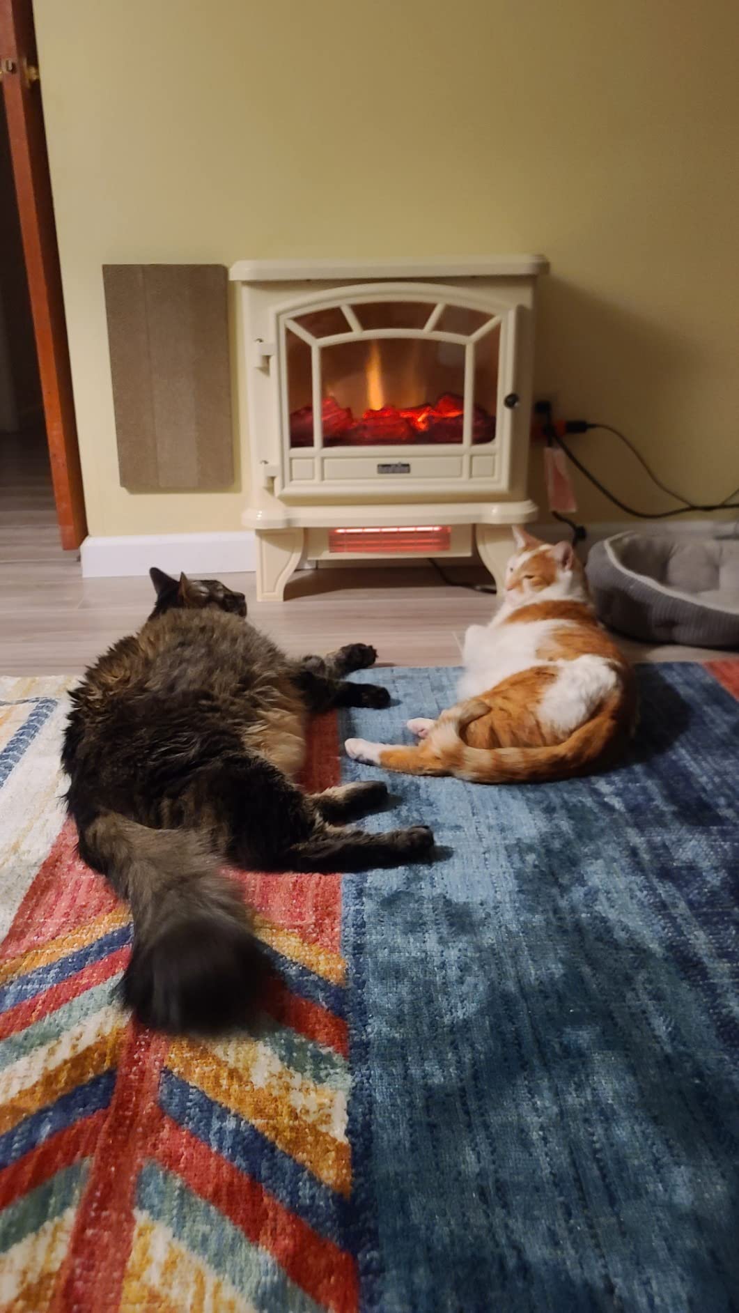duraflame Infrared Quartz Electric Fireplace Stove Heater, Black customer photo 2