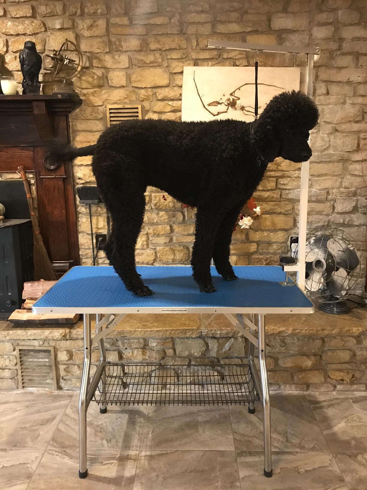 Flying Pig Large Size Super Durable Heavy Duty Dog Pet Foldable Grooming Table (44