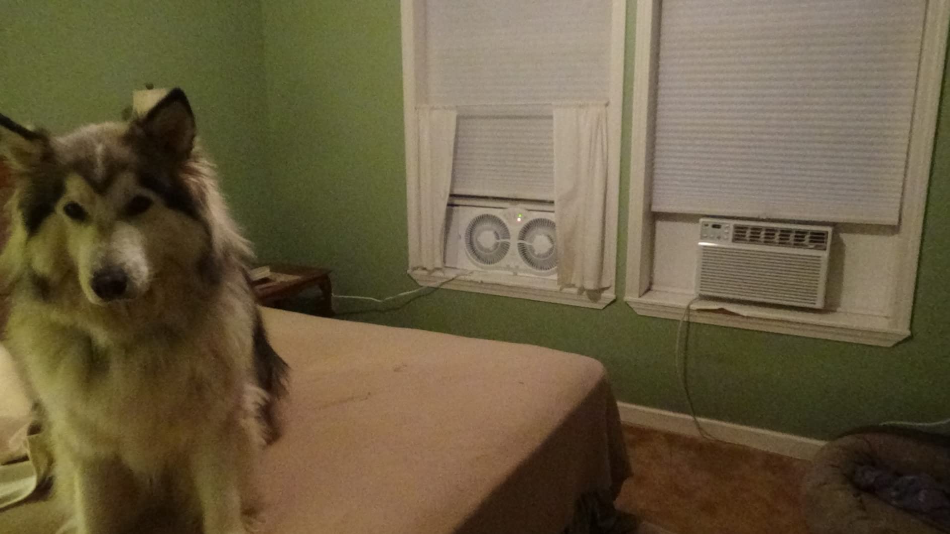 Genesis Twin Fan High Velocity Reversible AirFlow Fan, LED Indicator Lights Adjustable Thermostat & Max Cool Technology, ETL Certified, White (A1WINDOWFAN) customer photo 1