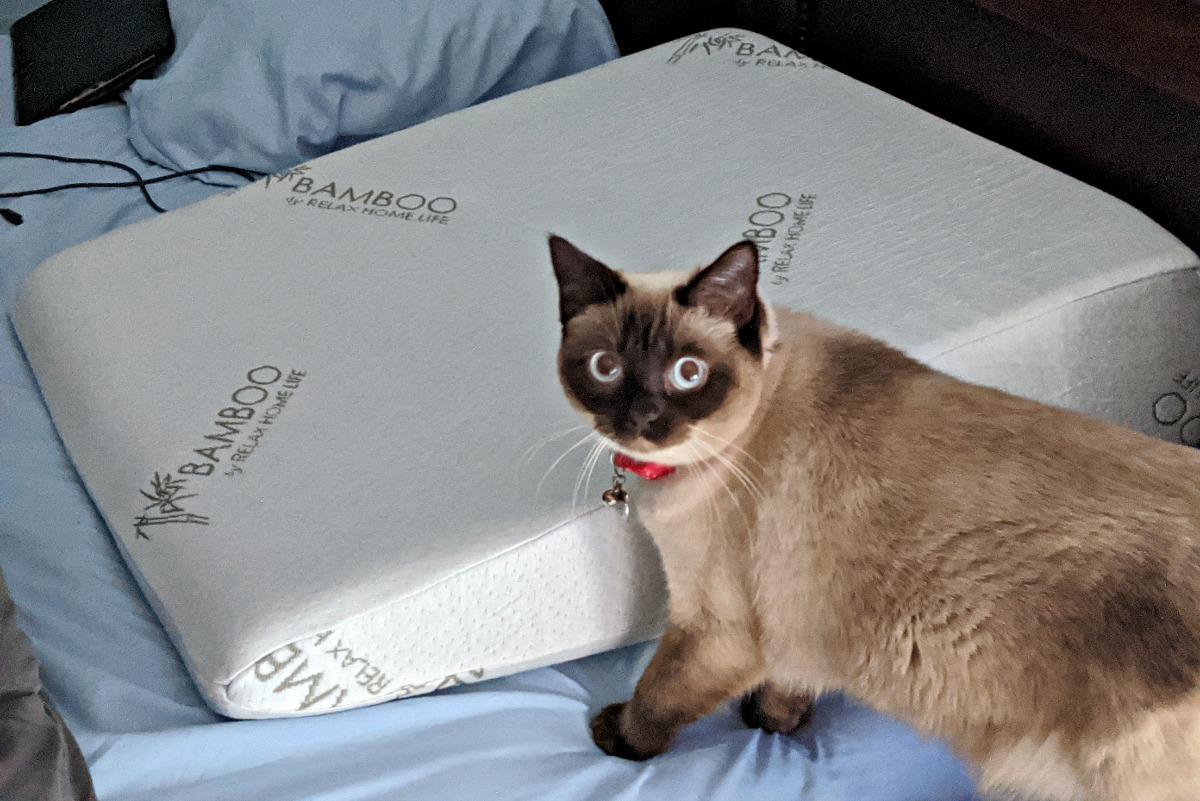 7.5 Inch Bed Wedge Pillow for Acid Reflux or Sleeping | 1.5 Inch Memory Foam Top with Stay Cool Cover | Incline Leg Elevation Pillows | Ideal for Gerd, Heartburn, and Snoring (25