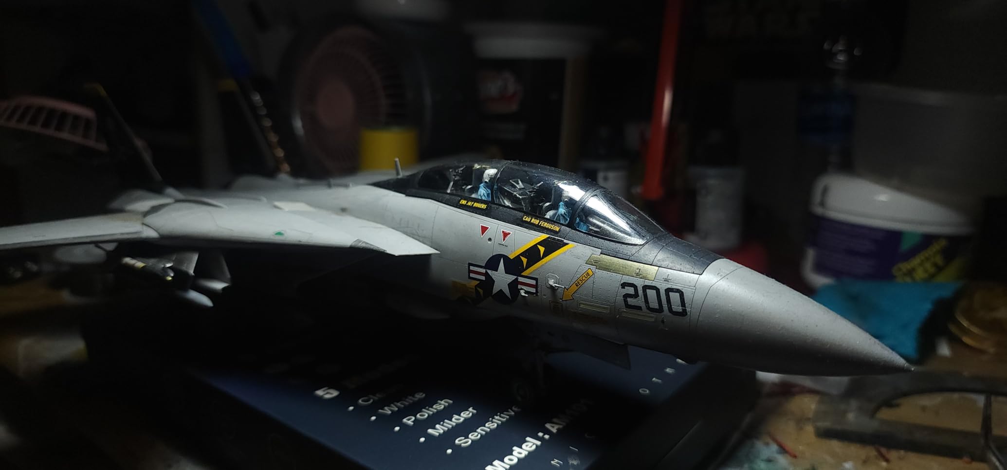 1:48 Tamiya Grumman F-14A Tomcat Model Kit customer photo 1