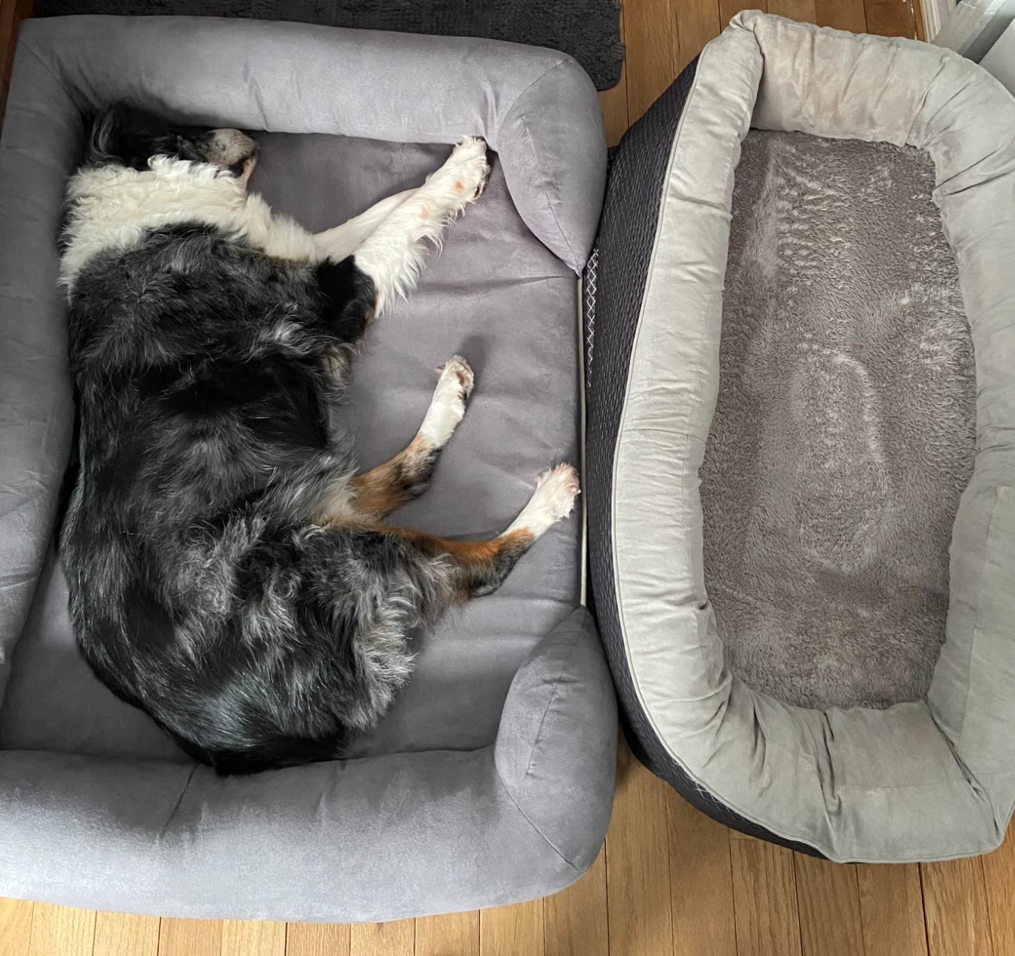 Friends Forever X-Large Dog Bed, Orthopedic Dog Sofa Memory Foam Mattress, Calming Dog Couch Bed, Wall Rim Pillow, Water Resistant Liner, Washable Cover, Non-Slip Bottom, Chester, X-Large Grey customer photo 2