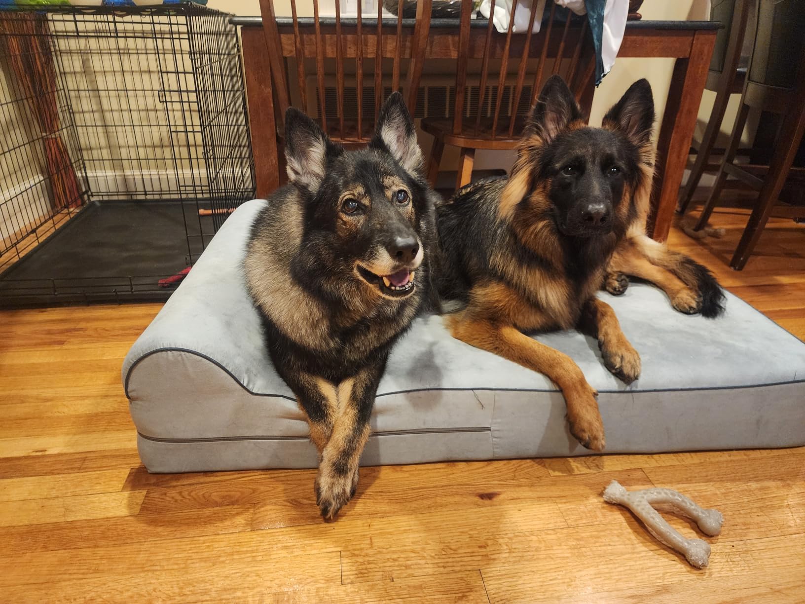 KOPEKS Orthopedic Memory Foam Dog Bed 7
