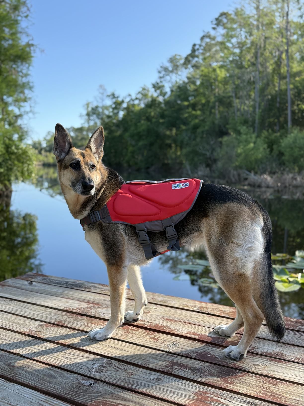 Outward Hound Dawson Swim Dog Life Jacket, Life Vest, Red, Large | High Buoyancy, Insulating, Adjustable Fit, Rescue Handle, Reflective, Swimming & Boating customer photo 2