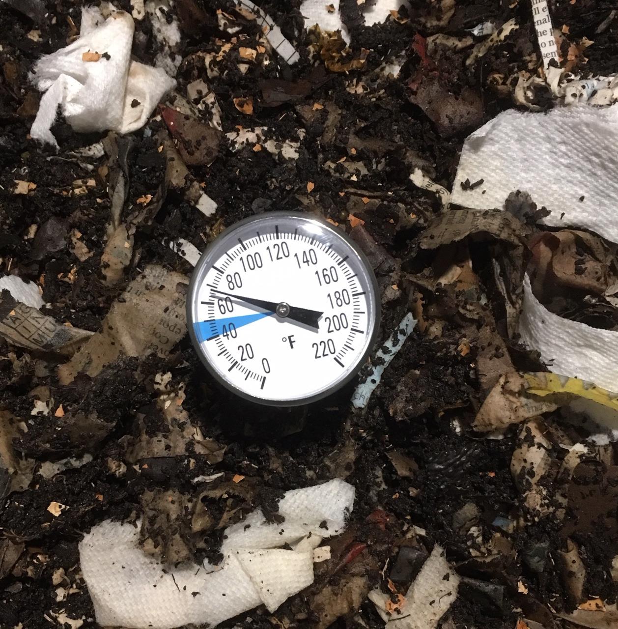 Stainless Steel Soil Thermometer by Smart Choice, 127mm Stem, Easy-to-Read 1.5