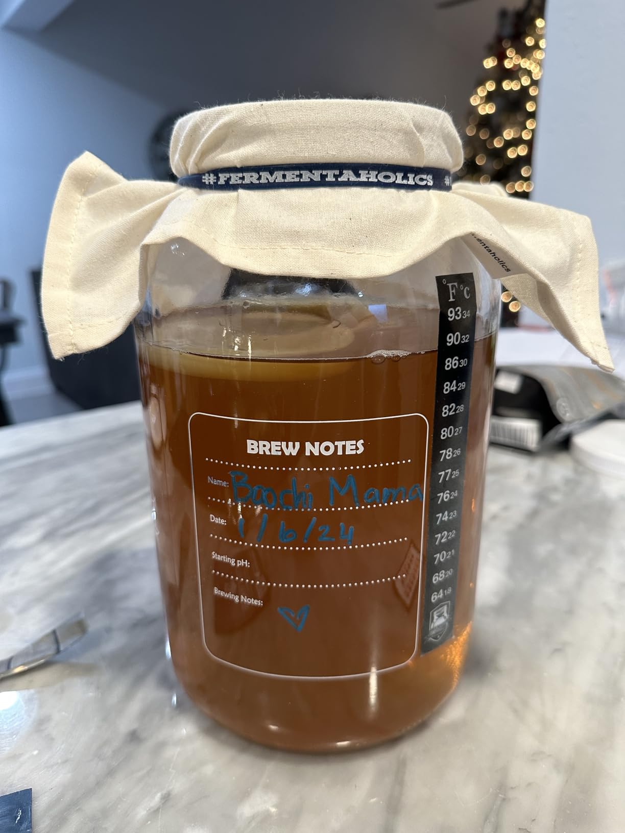 Fermentaholics Kombucha Brewing Starter Kit - USDA Certified Organic SCOBY & Tea, Complete Home Kombucha Making Kit with Culture, Kosher Certified customer photo 2
