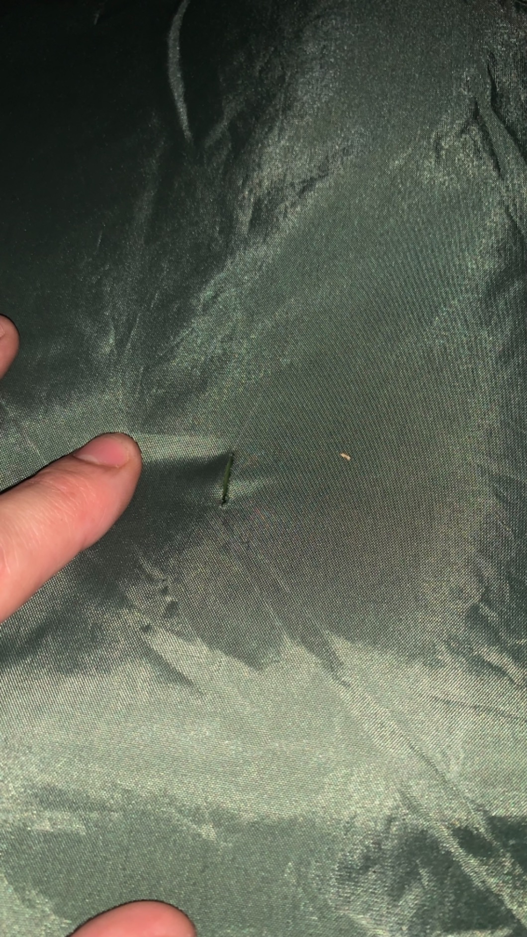 MARMOT Crane Creek 2P/3P Camping and Backpacking Tents & Footprints customer photo 1