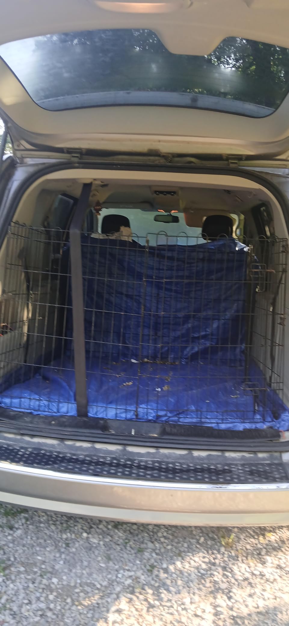 Amazon Basics Foldable Metal Exercise Dog Playpen, Indoor/Outdoor, Single Door, 8 Panels, 36 Inches, Medium, Black customer photo 1