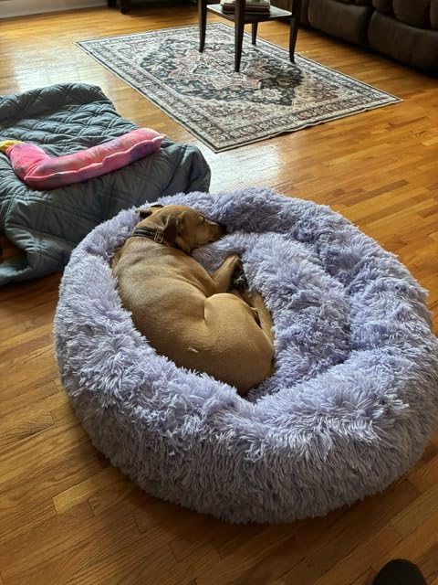 Best Friends by Sheri Original Calming Donut Dog Bed, Frost Gray, Large 36