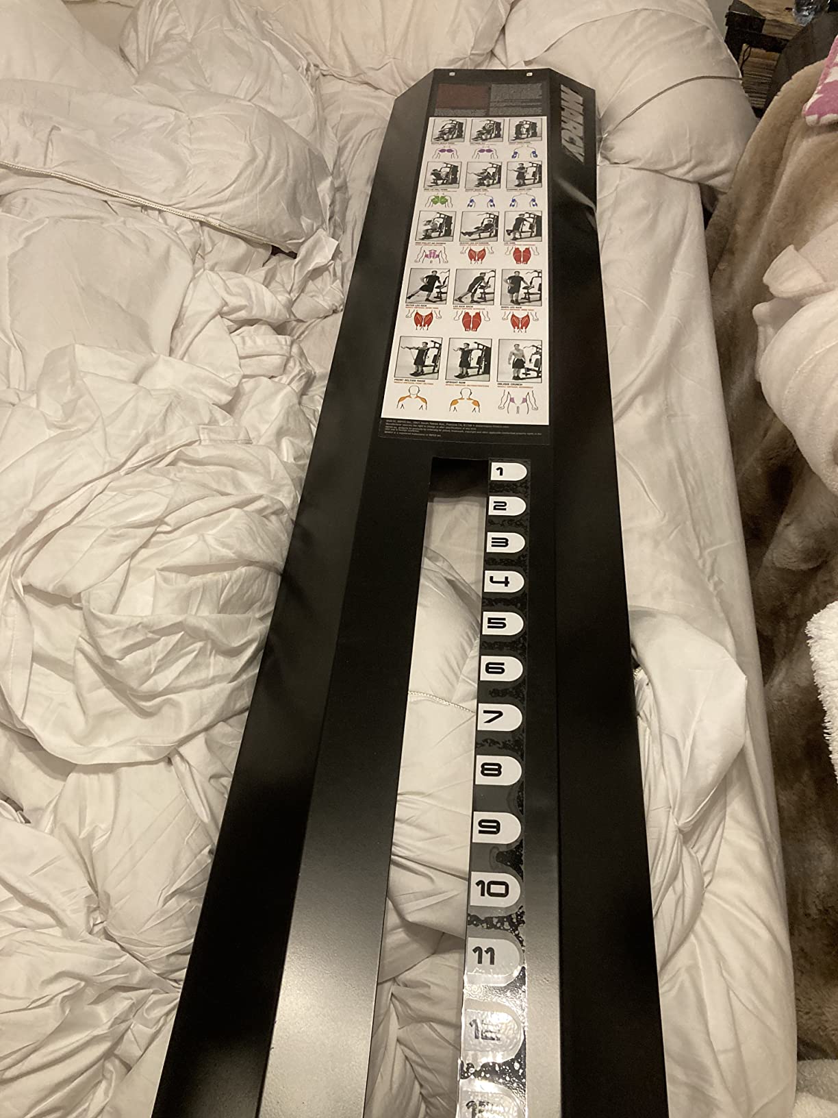 Home Gym Workout Station with Curl Pad, Lat Pulldown, Leg Developer & Weights, White customer photo 1