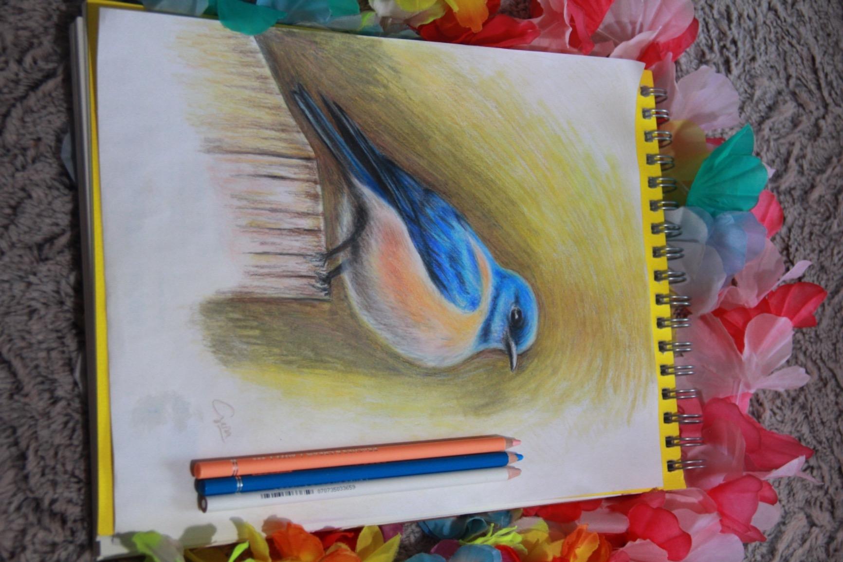 ARTEZA Colored Pencils, 72 Colors, Soft Wax Cores for Coloring and Drawing | 4 mm Break-Resistant Cores, Pre-Sharpened, Metal Tin and Color Chart Included, Blending, Shading and Layering customer photo 1