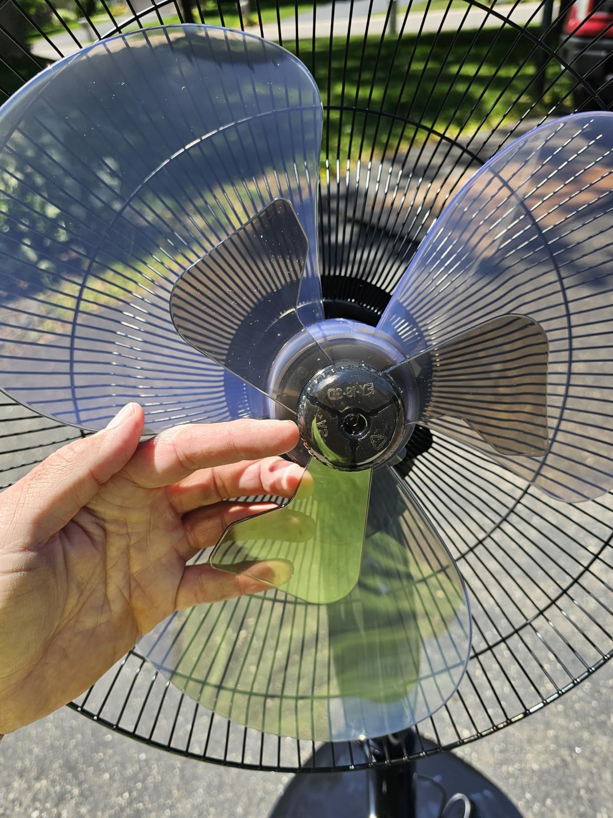 Amazon Basics 16